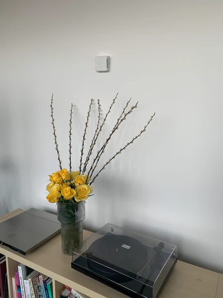 Glow Temperature Sensor